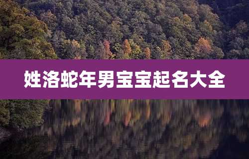 姓洛蛇年男宝宝起名大全