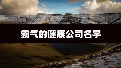 霸气的健康公司名字