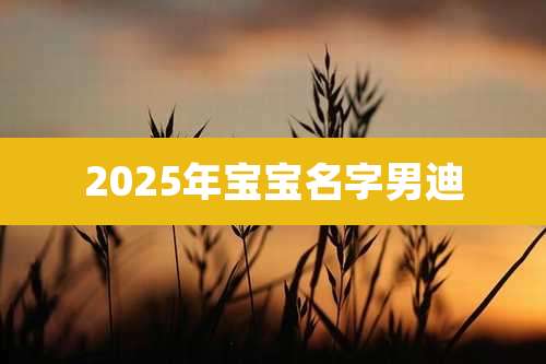 2025年宝宝名字男迪