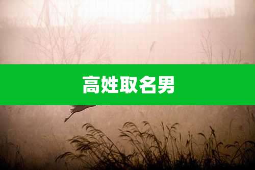 高姓取名男