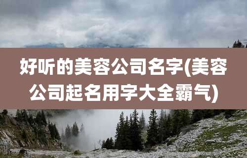 好听的美容公司名字(美容公司起名用字大全霸气)