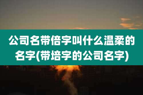 公司名带倍字叫什么温柔的名字(带培字的公司名字)