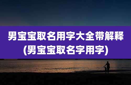 男宝宝取名用字大全带解释(男宝宝取名字用字)