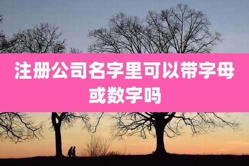 注册公司名字里可以带字母或数字吗