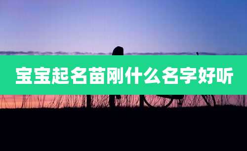 宝宝起名苗刚什么名字好听