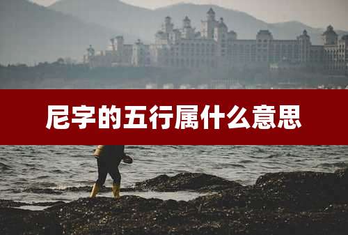 尼字的五行属什么意思