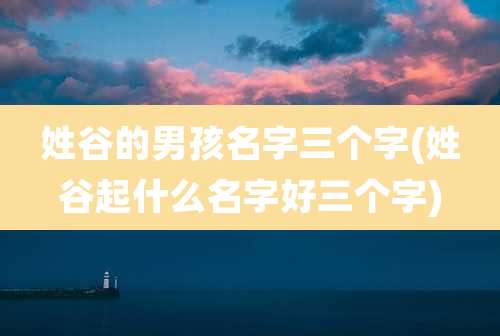 姓谷的男孩名字三个字(姓谷起什么名字好三个字)