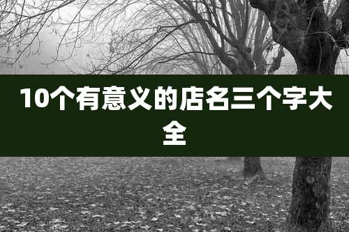 10个有意义的店名三个字大全