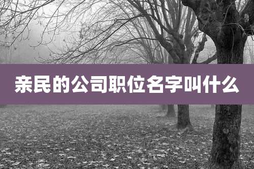亲民的公司职位名字叫什么