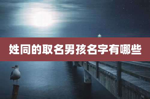 姓同的取名男孩名字有哪些