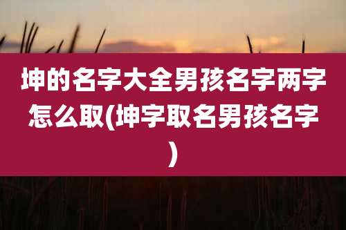 坤的名字大全男孩名字两字怎么取(坤字取名男孩名字)