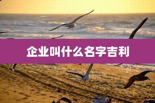 企业叫什么名字吉利
