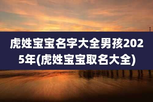 虎姓宝宝名字大全男孩2025年(虎姓宝宝取名大全)