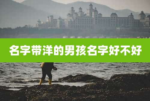 名字带洋的男孩名字好不好