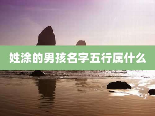 姓涂的男孩名字五行属什么