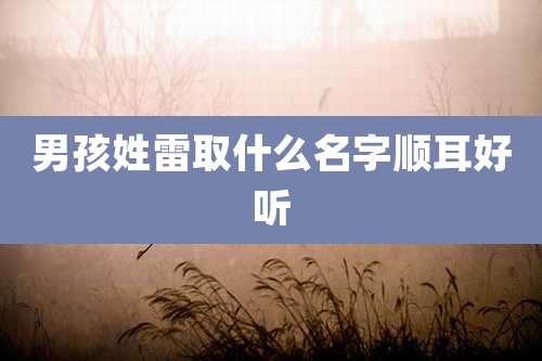 男孩姓雷取什么名字顺耳好听