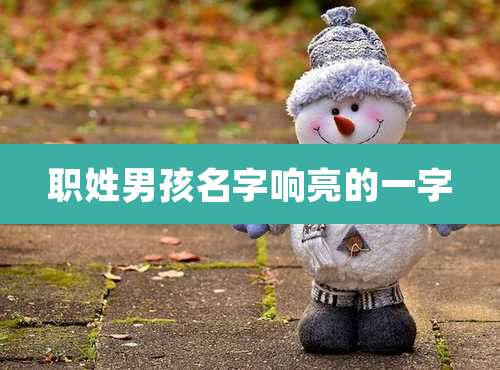 职姓男孩名字响亮的一字