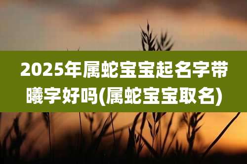 2025年属蛇宝宝起名字带曦字好吗(属蛇宝宝取名)