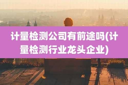 计量检测公司有前途吗(计量检测行业龙头企业)