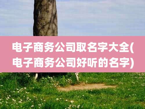电子商务公司取名字大全(电子商务公司好听的名字)