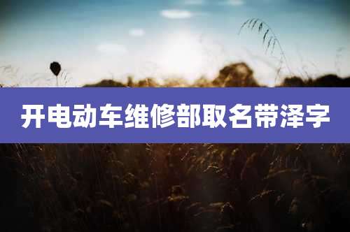开电动车维修部取名带泽字