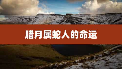 腊月属蛇人的命运