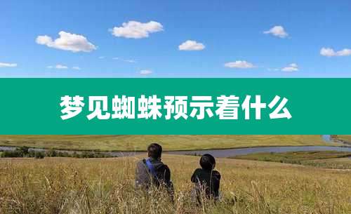 梦见蜘蛛预示着什么