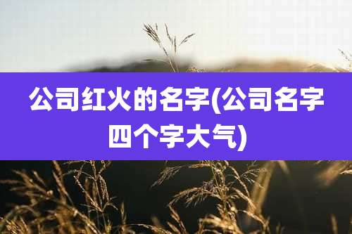 公司红火的名字(公司名字四个字大气)