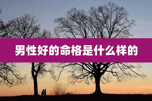 男性好的命格是什么样的