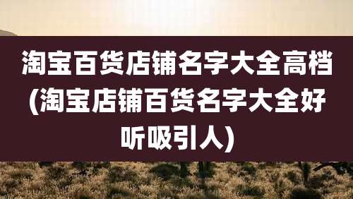 淘宝百货店铺名字大全高档(淘宝店铺百货名字大全好听吸引人)