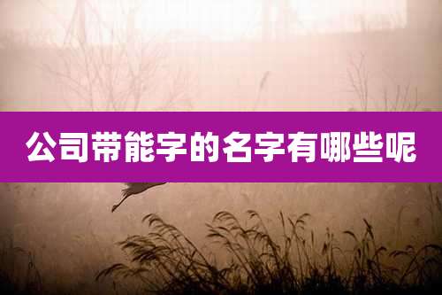 公司带能字的名字有哪些呢