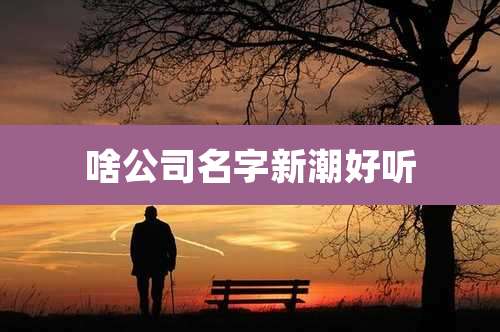 啥公司名字新潮好听
