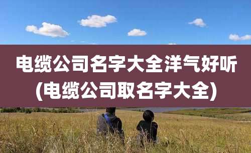 电缆公司名字大全洋气好听(电缆公司取名字大全)