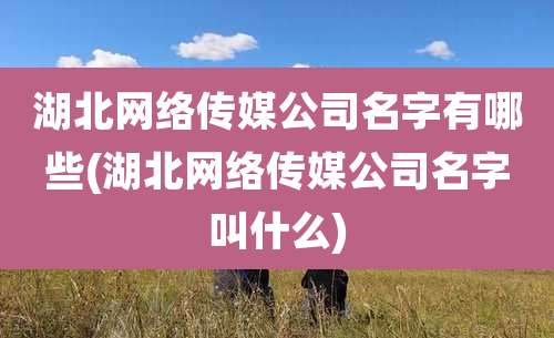 湖北网络传媒公司名字有哪些(湖北网络传媒公司名字叫什么)