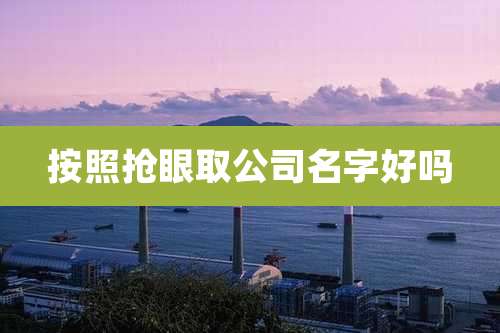 按照抢眼取公司名字好吗