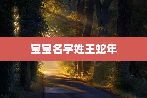 宝宝名字姓王蛇年
