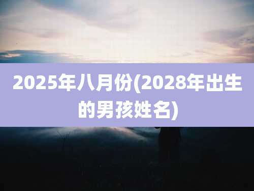 2025年八月份(2028年出生的男孩姓名)