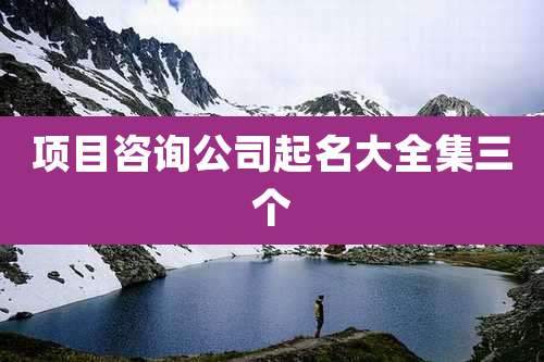 项目咨询公司起名大全集三个