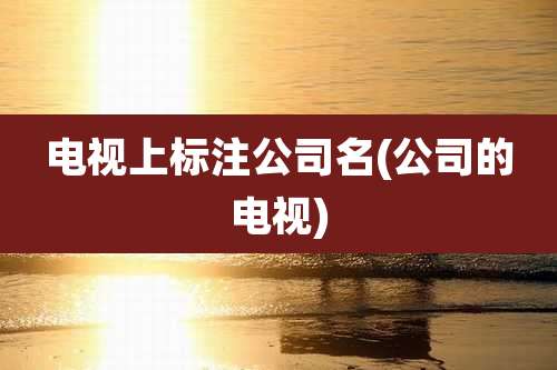 电视上标注公司名(公司的电视)