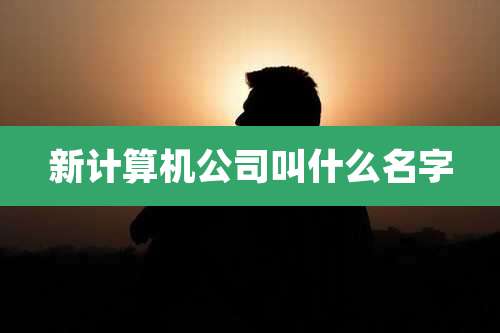 新计算机公司叫什么名字