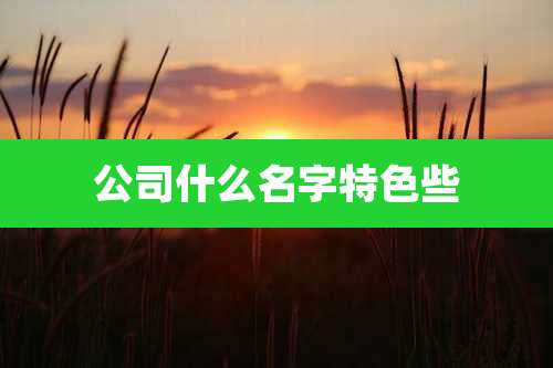 公司什么名字特色些