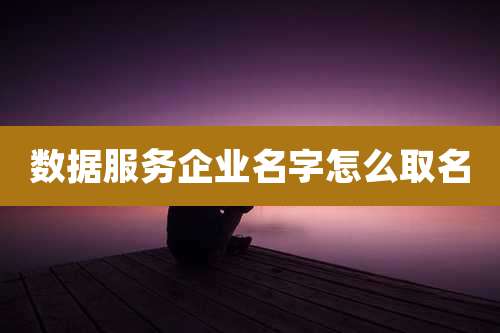 数据服务企业名字怎么取名