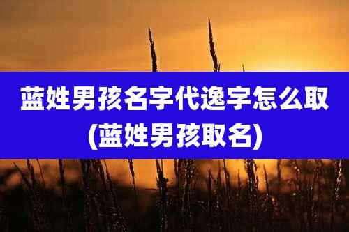 蓝姓男孩名字代逸字怎么取(蓝姓男孩取名)