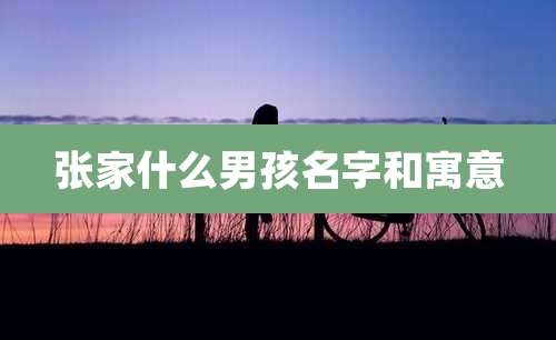 张家什么男孩名字和寓意