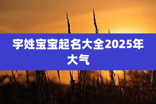 宇姓宝宝起名大全2025年大气