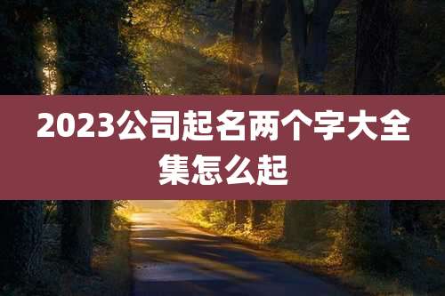 2023公司起名两个字大全集怎么起