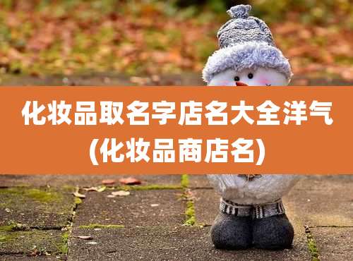 化妆品取名字店名大全洋气(化妆品商店名)