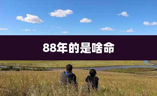 88年的是啥命