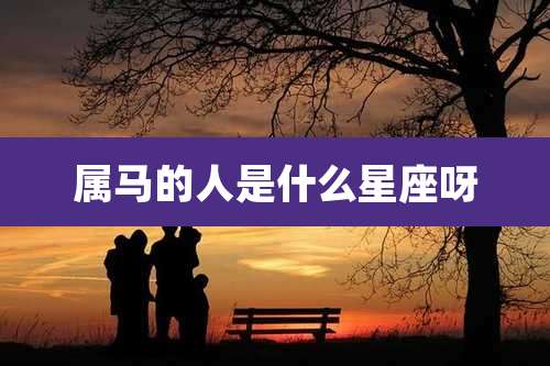 属马的人是什么星座呀