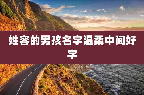 姓容的男孩名字温柔中间好字